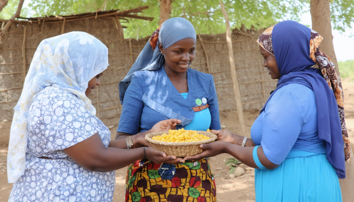 en somalie, la suspension de l'aide américaine pousse des centaines de centres de santé et de nutrition à fermer, aggravant la crise humanitaire dans le pays.